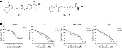 The Histone Deacetylase Inhibitor I13 Induces Differentiation of M2, M3 and M5 Subtypes of Acute Myeloid Leukemia Cells and Leukemic Stem-Like Cells